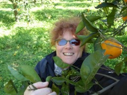 TN_SAM_4936_Ilaria estiva.JPG